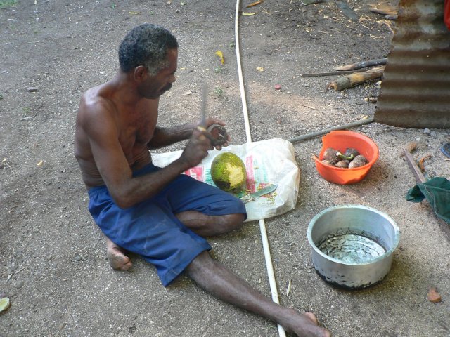 162- Jerry fabrique une rape en coco pour le fruit de l'arbre a pain 